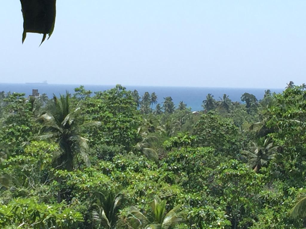 Wija House - Unawatuna Room photo